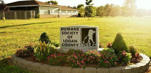 National Honor Society Animal Shelter Drive