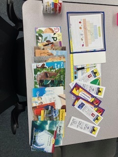 Look at all the goodies we got from our Reading Conference! We can't wait to use them!